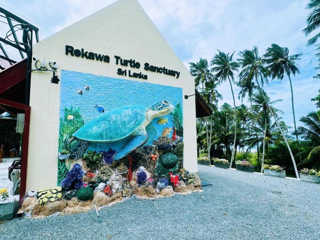 Turtle Paradise タンガラ エクステリア 写真
